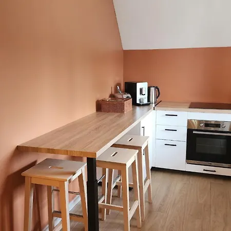 Proche Valenciennes - Cosy 80 M2 Dans Dependances Chateau Apartman Famars